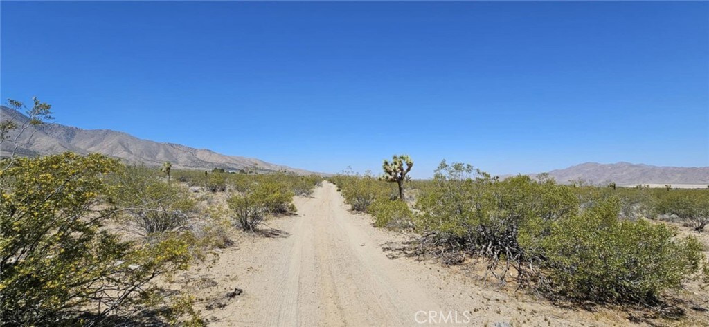800 Santa Rosa Rd, Lucerne Valley, CA 92356 - photo 3