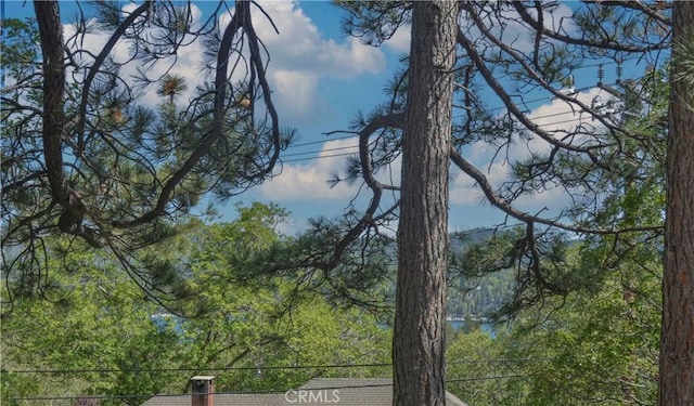 28680 Zion Dr, Lake Arrowhead, CA 92352 - exterior view