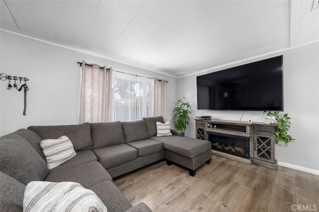 705 Pecos St, Spring Valley, CA 91977 - living room featuring wood finished floors, baseboards, and crown molding