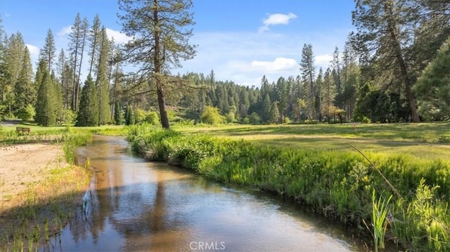 9 Apple Hill Cir, Berry Creek, CA 95916 - view of community featuring a forest view