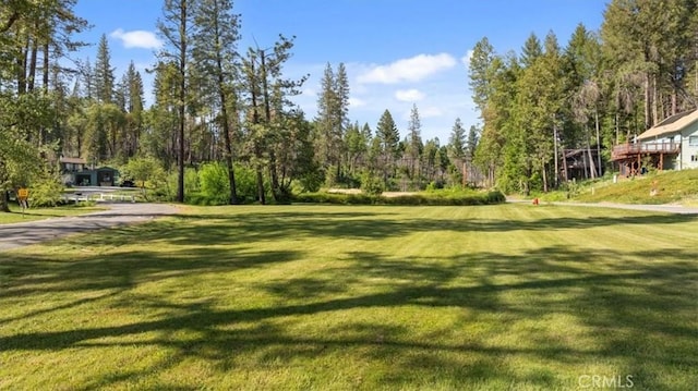 9 Apple Hill Cir, Berry Creek, CA 95916 - surrounding community with a lawn