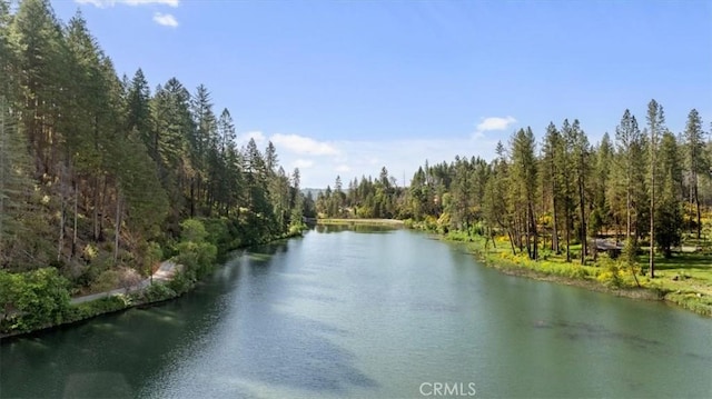 9 Apple Hill Cir, Berry Creek, CA 95916 - water view with a forest