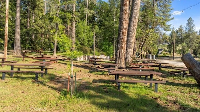 9 Apple Hill Cir, Berry Creek, CA 95916 - view of property's community