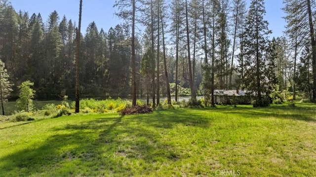 9 Apple Hill Cir, Berry Creek, CA 95916 - view of green lawn