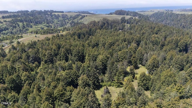 32371 Middle Ridge Rd, Albion, CA 95410 - photo 38