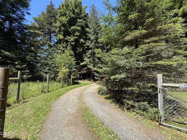 32371 Middle Ridge Rd, Albion, CA 95410 - photo 39