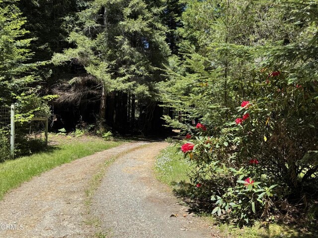 32371 Middle Ridge Rd, Albion, CA 95410 - photo 40