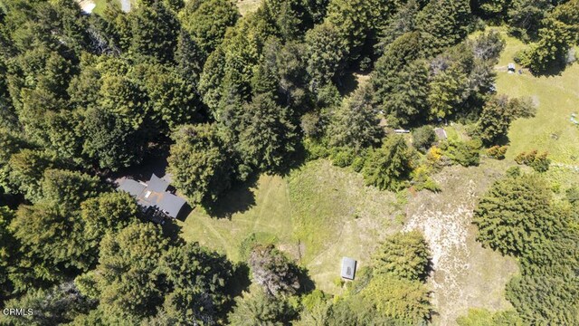 32371 Middle Ridge Rd, Albion, CA 95410 - photo 35