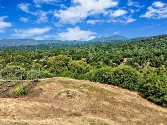 47527 Miami Highlands Dr, Oakhurst, CA 93644 - photo 43