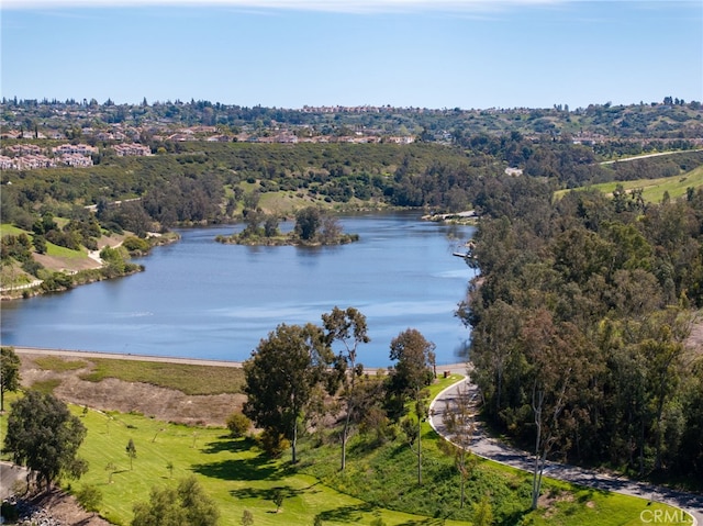 28747 La Triana, Laguna Niguel, CA 92677 - water view with a forest