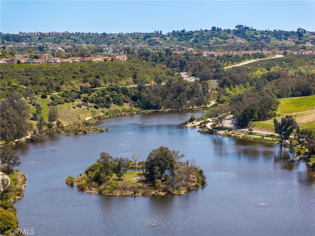 28747 La Triana, Laguna Niguel, CA 92677 - water view featuring a heavily wooded area