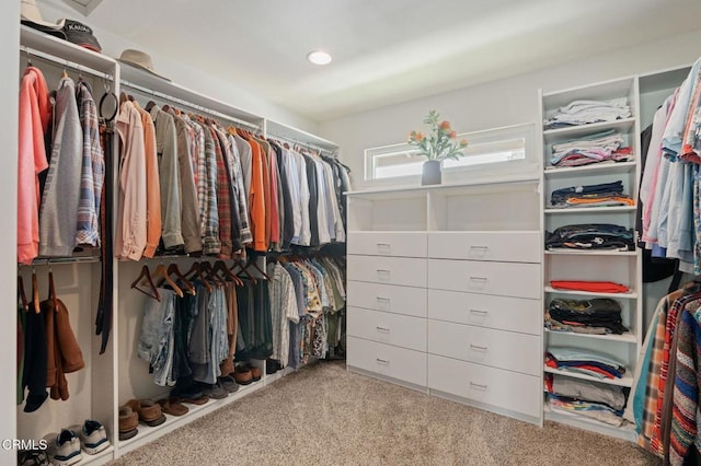 1796 Swift Ave, Ventura, CA 93003 - walk in closet with carpet floors