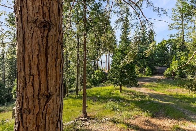 64 Rebie Way, Oroville, CA 95966 - view of yard