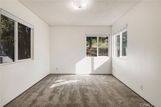 64 Rebie Way, Oroville, CA 95966 - unfurnished room with carpet floors and a textured ceiling
