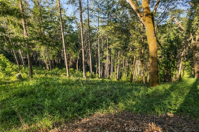 64 Rebie Way, Oroville, CA 95966 - view of woods