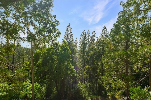 64 Rebie Way, Oroville, CA 95966 - view of tree filled area