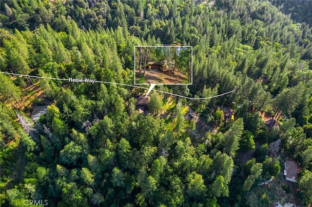 64 Rebie Way, Oroville, CA 95966 - aerial view of property's location with a heavily wooded area and property parcel outlined