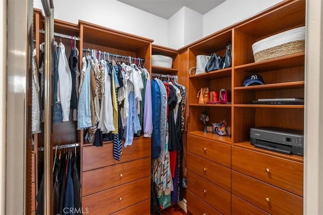23402 Brookdale Ln Unit 56, Valencia, CA 91355 - view of walk in closet