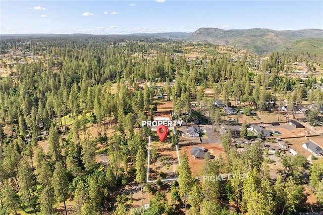 1595 Bever Ln, Paradise, CA 95969