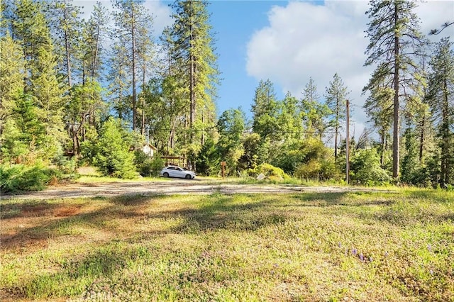 1595 Bever Ln, Paradise, CA 95969