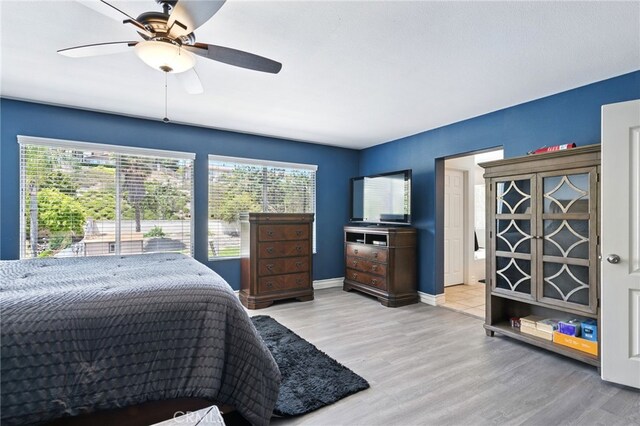 25 Del Brienza, Lake Elsinore, CA 92532 - bedroom with wood finished floors and ceiling fan