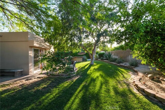 576 E Desert Holly Cir, Palm Springs, CA 92262 - view of yard