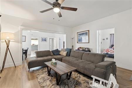 426 Ivy St, Glendale, CA 91204 - living area with ceiling fan and light wood-style floors
