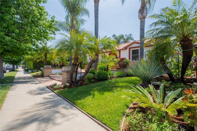 16732 Lassen St, Northridge, CA 91343 - view of front of home featuring a front yard and stucco siding