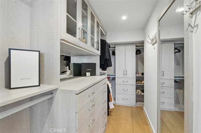 888 W E St Unit 505, San Diego, CA 92101 - spacious closet featuring light wood-style flooring