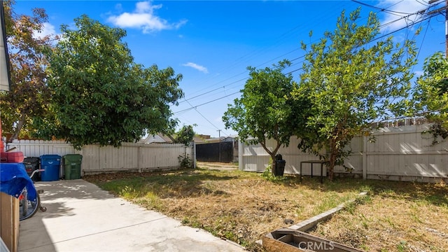 413 E 81st St, Los Angeles, CA 90003 - view of yard