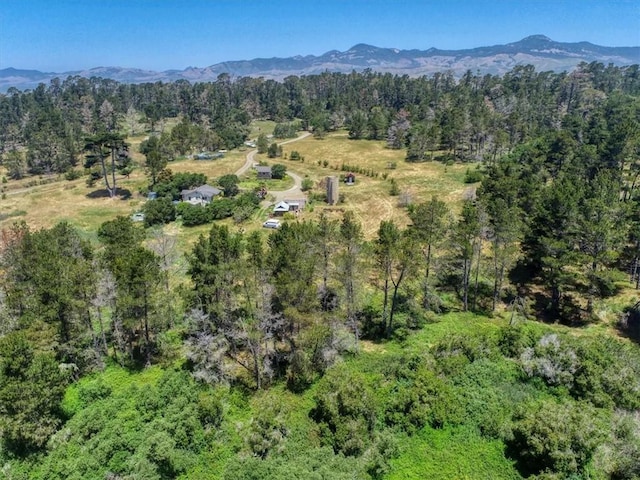 455 Chiswick Way, Cambria, CA 93428 - bird's eye view of a heavily wooded area and mountains