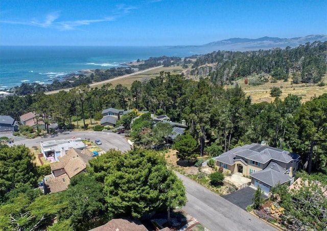 455 Chiswick Way, Cambria, CA 93428 - drone / aerial view