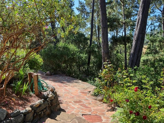 455 Chiswick Way, Cambria, CA 93428 - view of patio / terrace