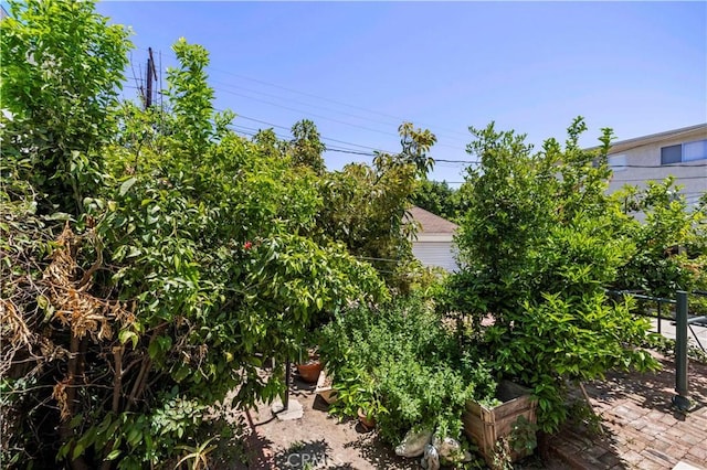 4180 Tujunga Ave, Studio City, CA 91604 - view of yard