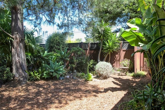 798 Drake St, Cambria, CA 93428 - photo 3