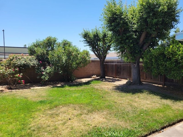 2368 Beechwood Way, Madera, CA 93637 - view of yard