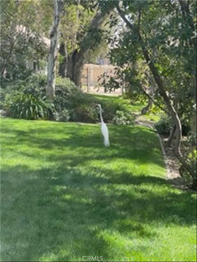 10139 Sun Valley Dr, Rancho Cucamonga, CA 91737 - view of green lawn