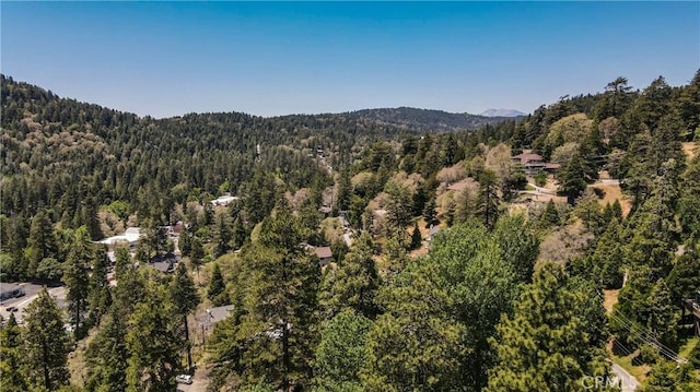 486 Wylerhorn Dr, Crestline, CA 92325 - photo 40