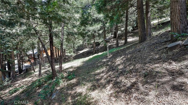 486 Wylerhorn Dr, Crestline, CA 92325 - photo 29