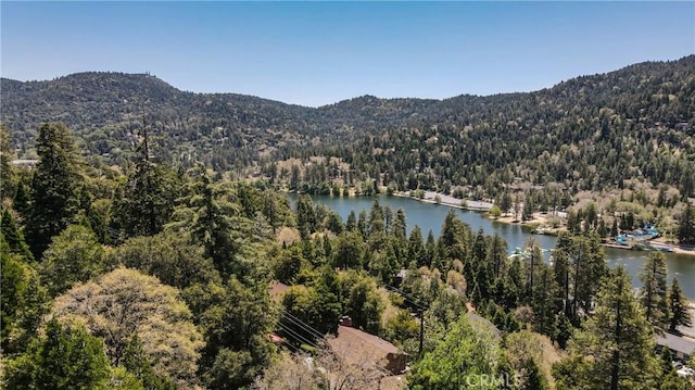486 Wylerhorn Dr, Crestline, CA 92325 - photo 42