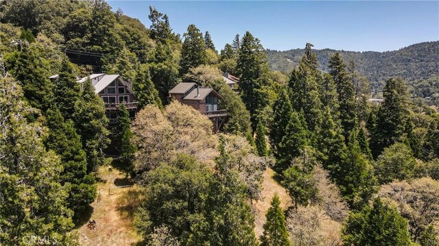 486 Wylerhorn Dr, Crestline, CA 92325 - photo 43