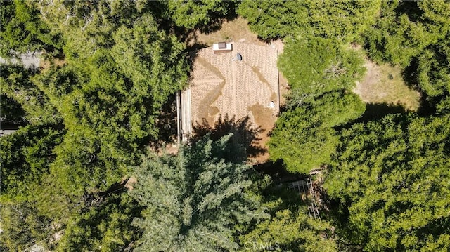 486 Wylerhorn Dr, Crestline, CA 92325 - photo 39