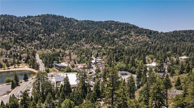 486 Wylerhorn Dr, Crestline, CA 92325 - photo 41