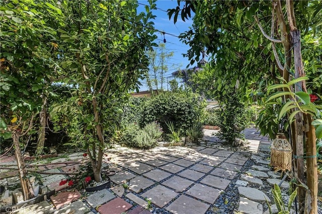 3163 La Clede Ave, Los Angeles, CA 90039 - view of patio