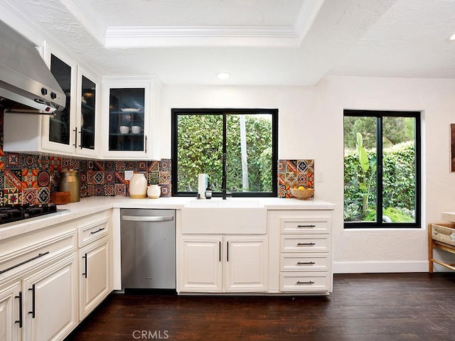 28021 Camino Santo Domingo, San Juan Capistrano, CA 92675 - kitchen with dishwasher, wall chimney range hood, light countertops, decorative backsplash, and a raised ceiling
