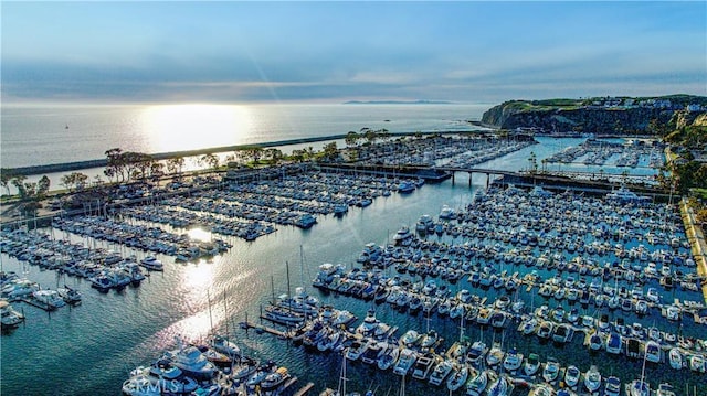 24851 Seagate Dr, Dana Point, CA 92629 - bird's eye view of a marina and a nearby body of water