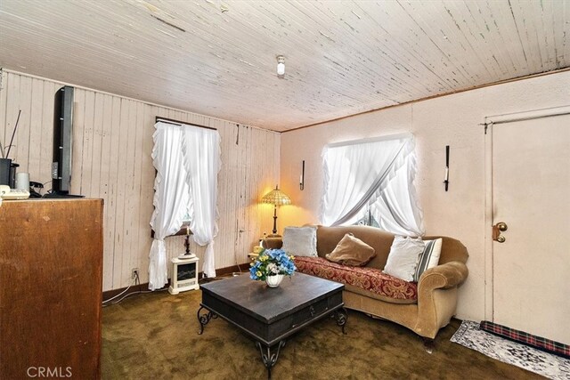 2368 E 107th St, Los Angeles, CA 90002 - living room featuring wooden walls, carpet flooring, and wood ceiling