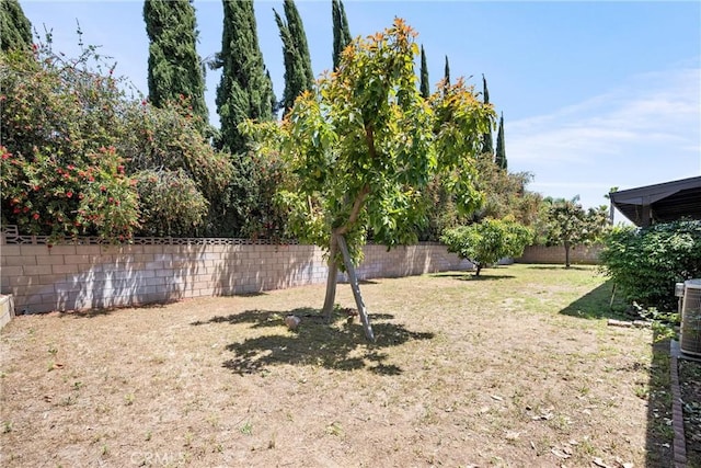 6145 Jasper St, Rancho Cucamonga, CA 91701 - view of yard