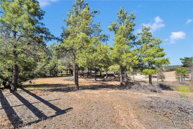 5635 Honeyhill Rd Unit A & B, Oak Hills, CA 92344 - view of yard