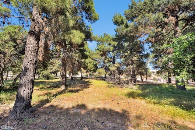 5635 Honeyhill Rd Unit A & B, Oak Hills, CA 92344 - view of yard